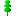 Královský smrk, Památný strom