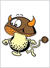Peklík Houbový (Peklus spongiosus)
