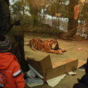 Zoo Brno