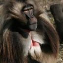 Zoo Brno