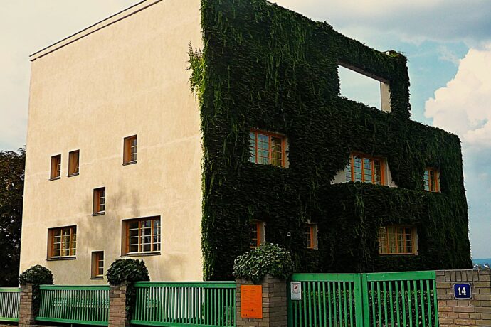 Müllerova vila (Loosova vila)
