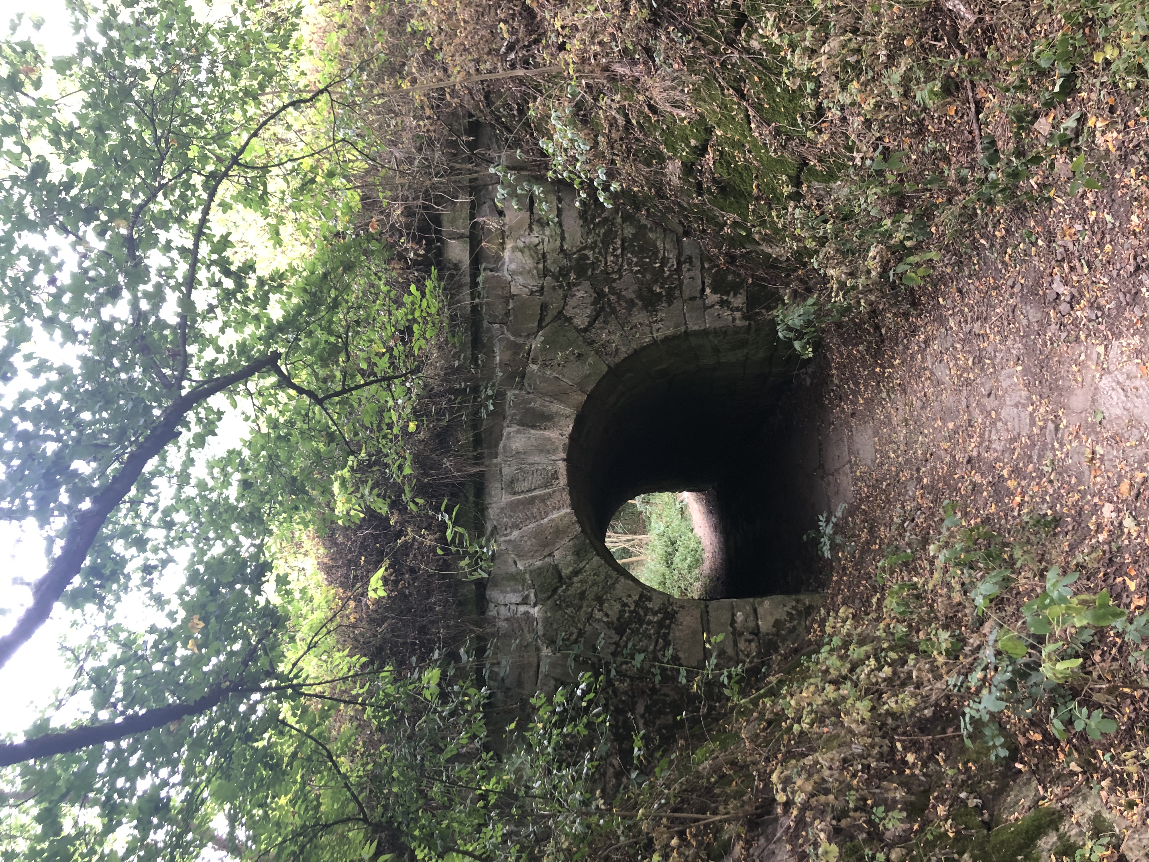 Železniční tunel pod Cínovou horou. Foto: ©Pavlina Hochmann