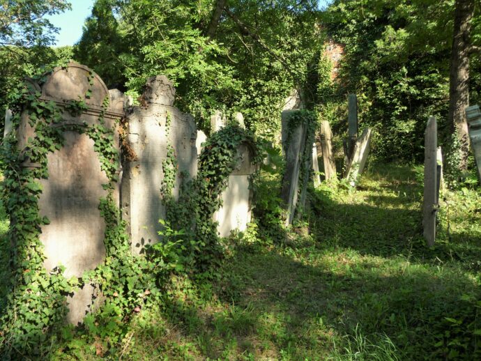 Židovský hřbitov - Mikulov. Foto © se svolením Jana Kučerová