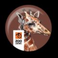Do zoo nemůžu, ale rád pomůžu podruhé