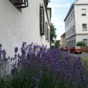 Benešov nad Ploučnicí
