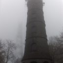 Jedlová