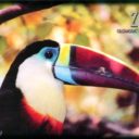 ZOO Olomouc