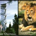 ZOO Olomouc