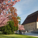 Litoměřice
