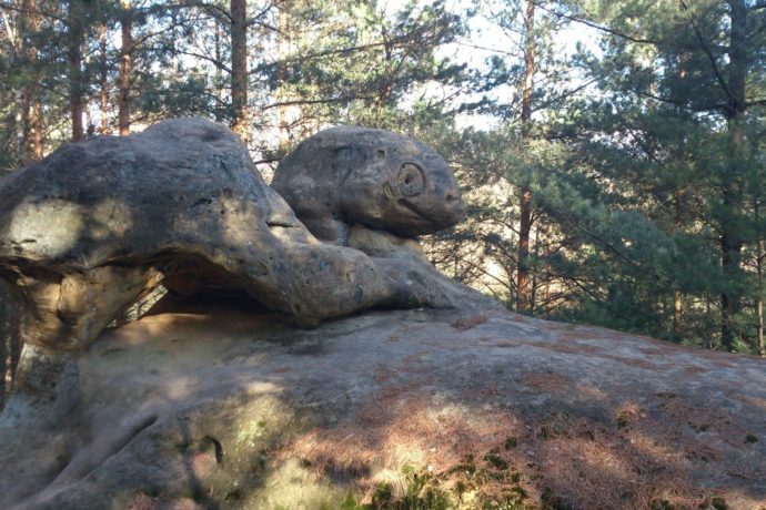 Borecké skály, přírodní památka nedaleko stejnojmenné obce