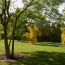 Centrum řemesel a bylinné zahrady Botanicus