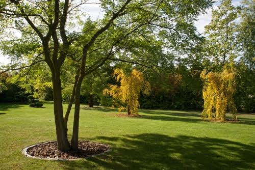 Centrum řemesel a bylinné zahrady Botanicus