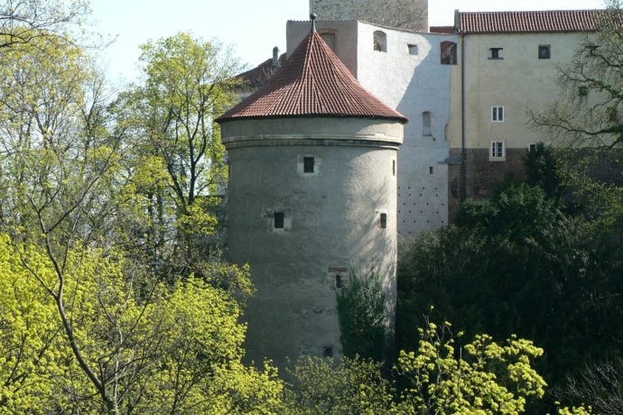 Daliborka