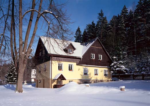 Dita pension