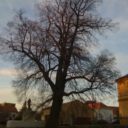 Dobřichovice