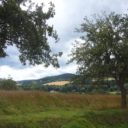 Hoštice (u Volyně)