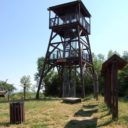 Barborka