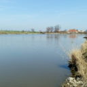 Hrušovský rybník
