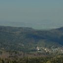 Hvozd (Hochwald)
