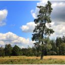 Kladská