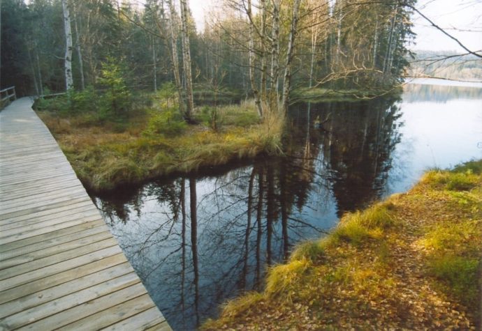 Kladské rašeliny. Foto: © Svatava Burešová