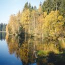 Kladské rašeliny