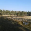 Kokotské rybníky