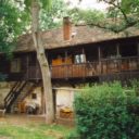 Kořen