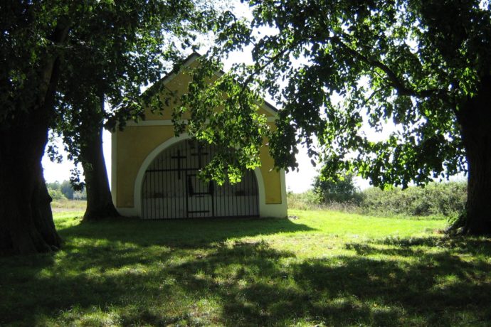 Kout na Šumavě
