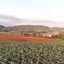 Kozinec