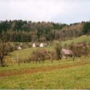 Levín