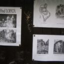 Lopata