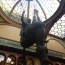 Lucerna