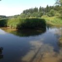 Meandry Ploučnice