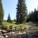 Šumava - potoky