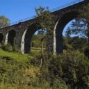 Novina
