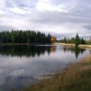 Novoveské rašeliniště
