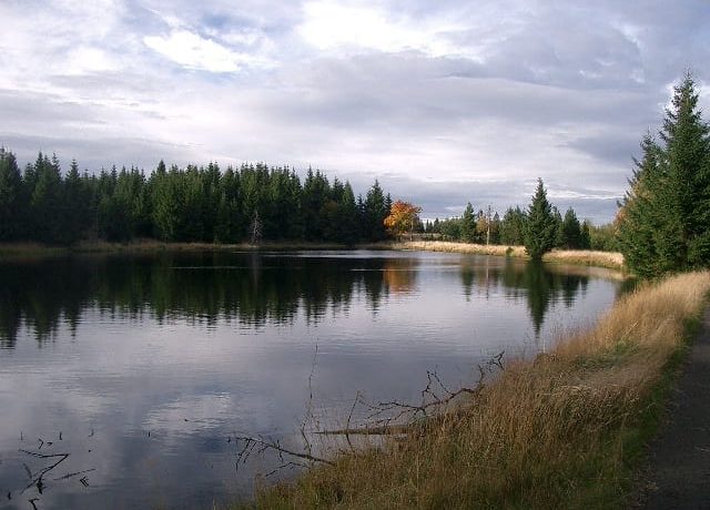 Novoveské rašeliniště