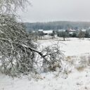 Kaňkov