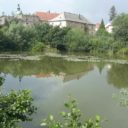 Osek