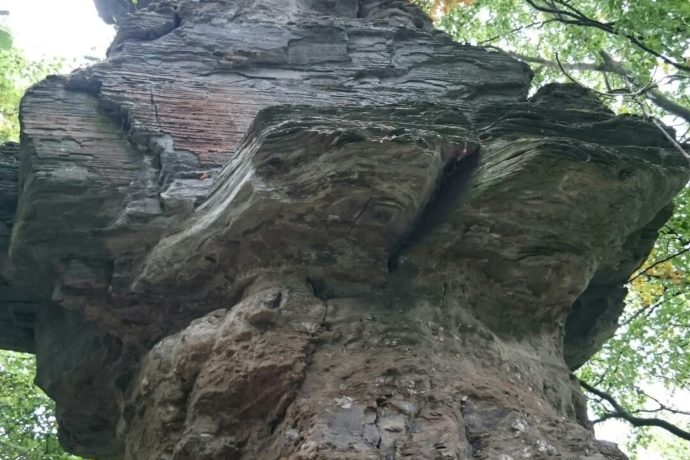 Pasák