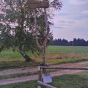 Podhledna