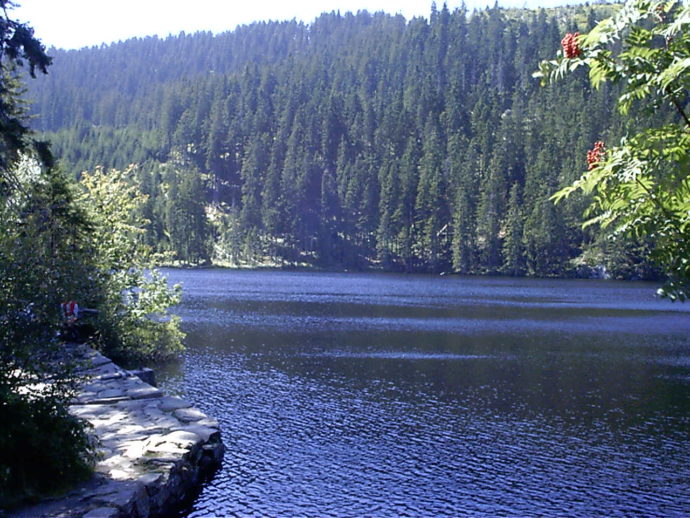 Prášilské jezero Foto © ml407