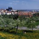 Pražský hrad