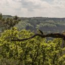 Přírodní park Povodí Kačáku