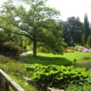 Průhonický park