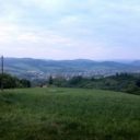 Pržno