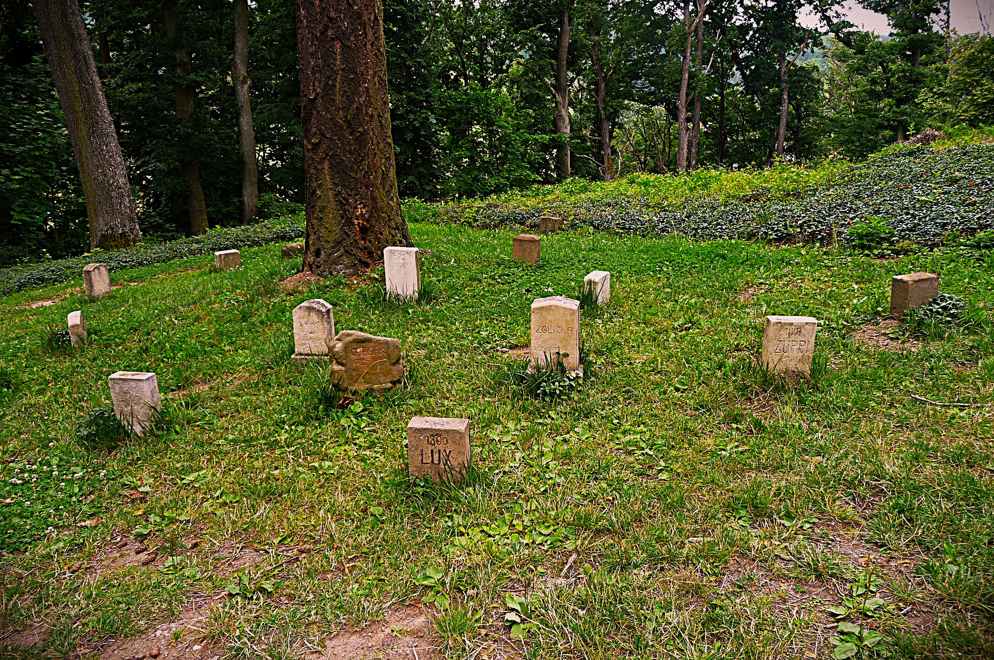 Psí hřbitov
