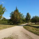 Rýchory