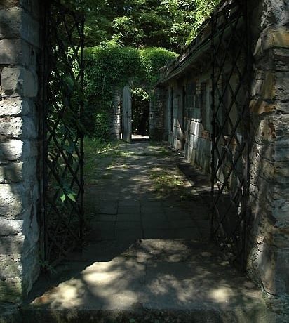 Rýzmburk